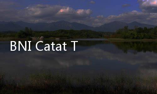 BNI Catat Transaksi Remintasi TKI Lebih Dari USD 31 Juta di Kuartal I 2025