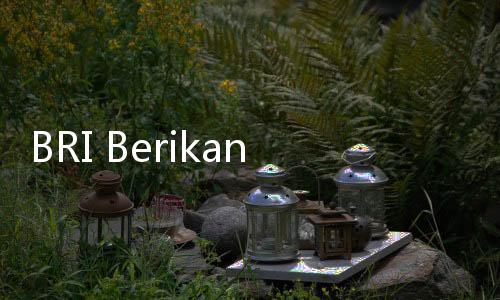 BRI Berikan Anugerah kepada 5 Desa Paling BRILIAN Indonesia 2022