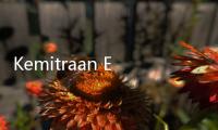 Kemitraan Ekonomi RI