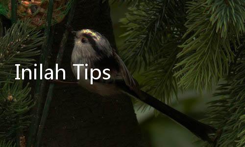 Inilah Tips Mengantisipasi Paham Radikal