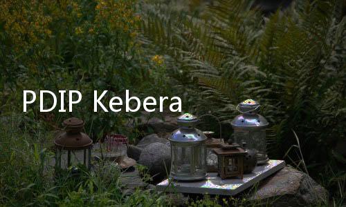 PDIP Keberatan Ambang Batas Parlemen 4 Persen Dihapus, Komarudin: Itu Wewenang Pembuat UU Bukan MK!