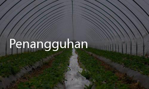 Penangguhan Penahanan Siskaeee Ditolak, Pengacara: Tetap Lakukan Upaya Hukum