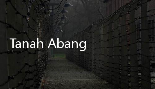 Tanah Abang 'Semrawut', Jokowi Enggan Ajak Tamu ke Kawasan Itu?