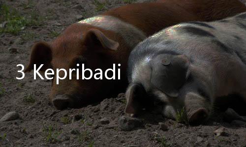 3 Kepribadian yang Biasa Dimiliki Para Pemakan Cepat, Kamu Termasuk?
